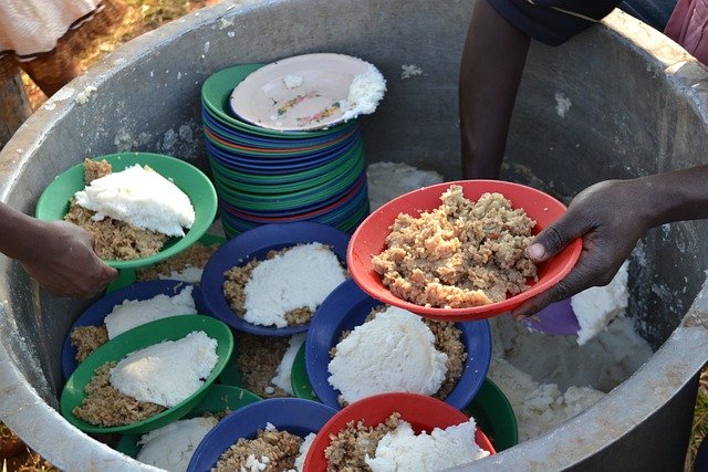 Read more about the article Addressing the Root Causes of Hunger: Education and Food Banking Initiatives
